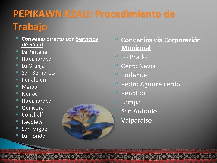 PEPIKAWN KZAU: Procedimiento de Trabajo Convenio directo con Servicios de Salud La Pintana Huechuraba