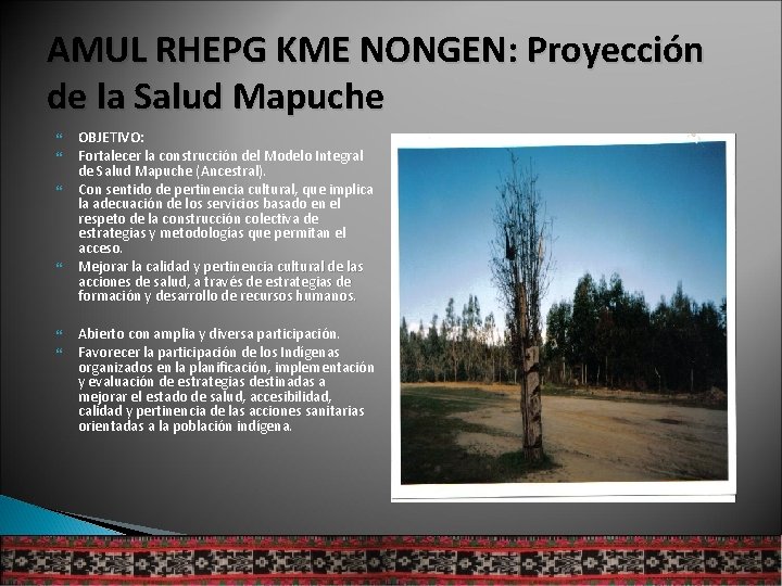 AMUL RHEPG KME NONGEN: Proyección de la Salud Mapuche OBJETIVO: Fortalecer la construcción del