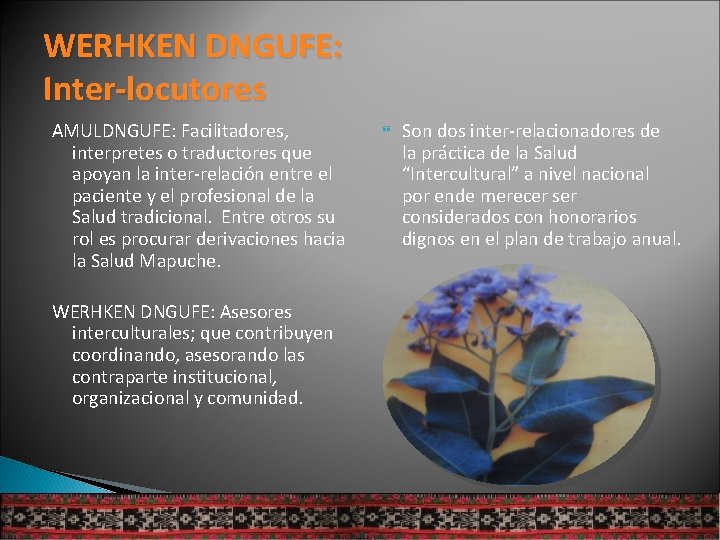 WERHKEN DNGUFE: Inter-locutores AMULDNGUFE: Facilitadores, interpretes o traductores que apoyan la inter-relación entre el