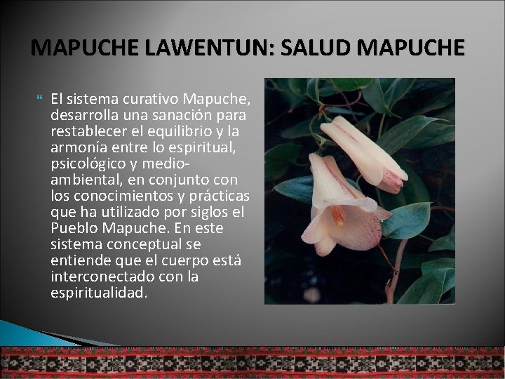 MAPUCHE LAWENTUN: SALUD MAPUCHE El sistema curativo Mapuche, desarrolla una sanación para restablecer el