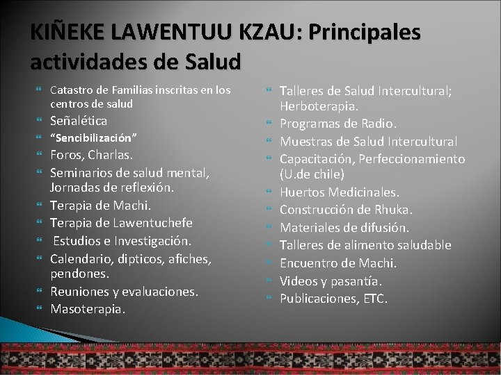 KIÑEKE LAWENTUU KZAU: Principales actividades de Salud Catastro de Familias inscritas en los centros