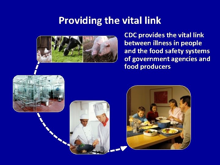 Providing the vital link CDC provides the vital link between illness in people and