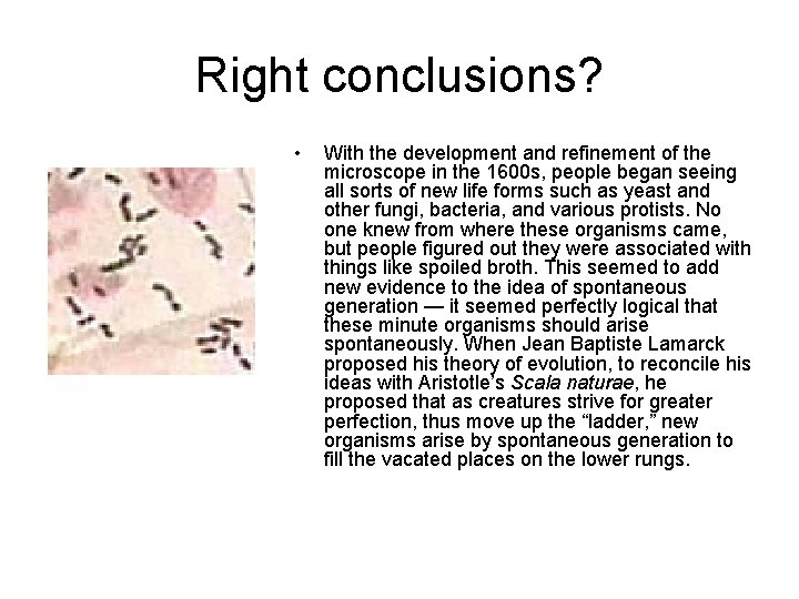 Right conclusions? • With the development and refinement of the microscope in the 1600