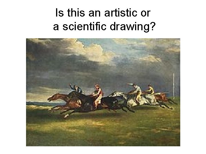 Is this an artistic or a scientific drawing? 
