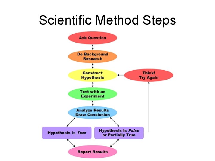 Scientific Method Steps 