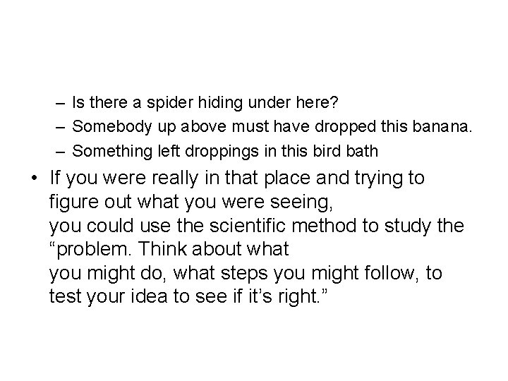 – Is there a spider hiding under here? – Somebody up above must have