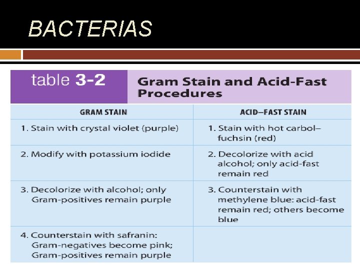 BACTERIAS 