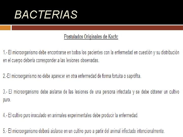 BACTERIAS 