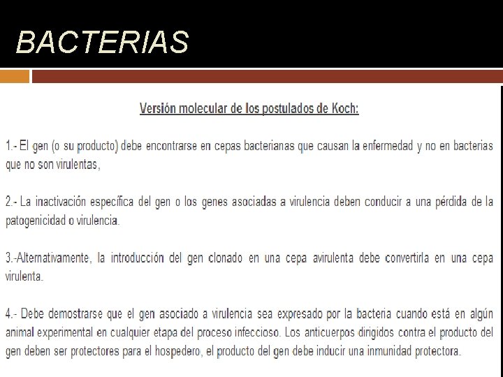 BACTERIAS 