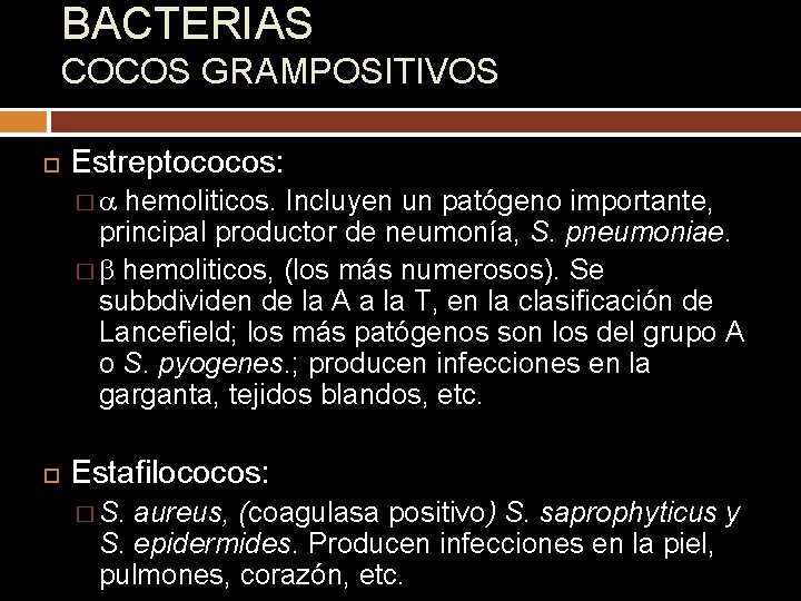 BACTERIAS COCOS GRAMPOSITIVOS Estreptococos: �a hemoliticos. Incluyen un patógeno importante, principal productor de neumonía,