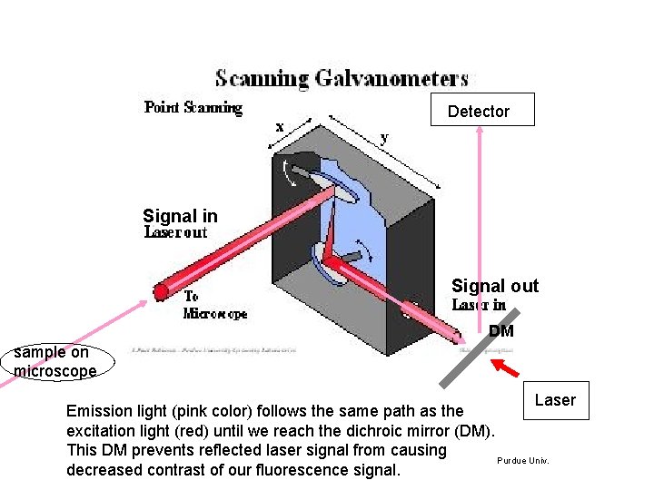 Detector Signal in Signal out DM sample on microscope Laser Emission light (pink color)