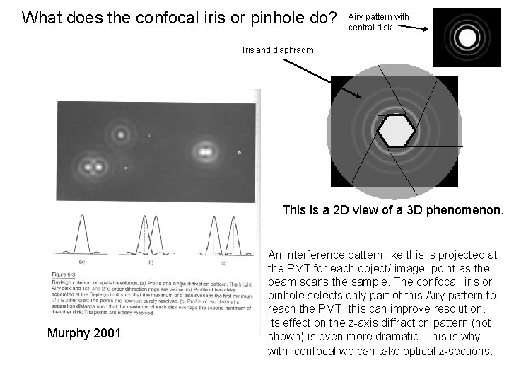 What does the confocal iris or pinhole do? Airy pattern with central disk. Iris