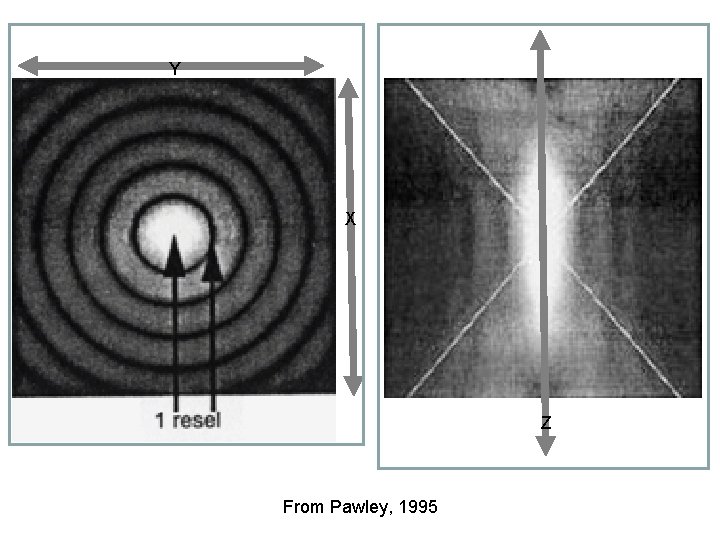 Y X Z From Pawley, 1995 