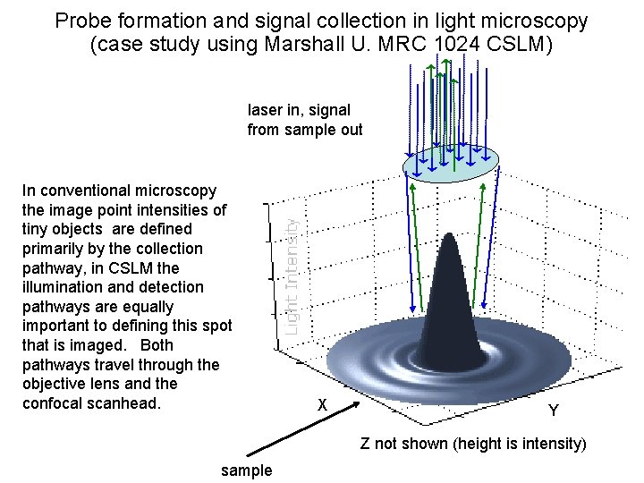 Probe formation and signal collection in light microscopy (case study using Marshall U. MRC