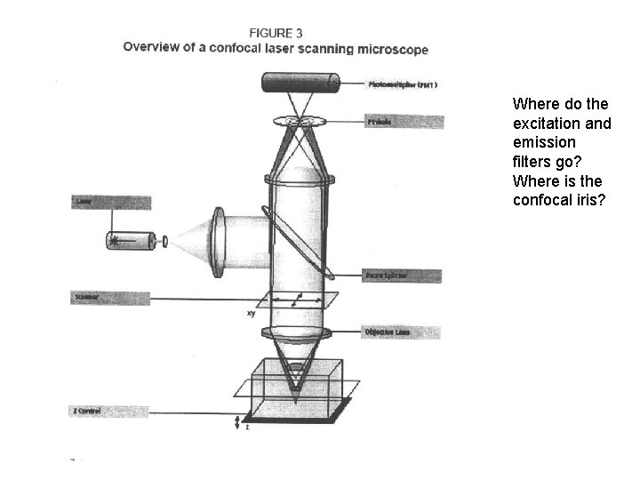 Where do the excitation and emission filters go? Where is the confocal iris? 