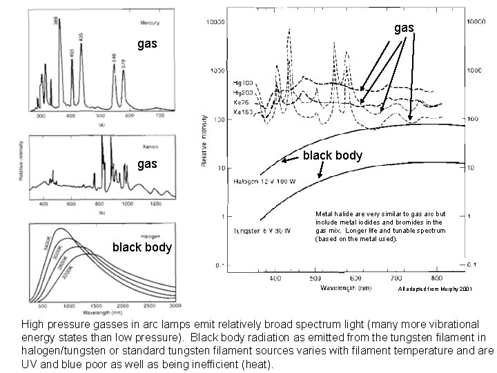 gas gas black body Metal halide are very similar to gas arc but include