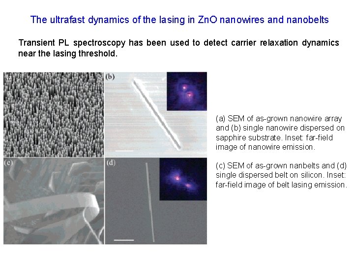 The ultrafast dynamics of the lasing in Zn. O nanowires and nanobelts Transient PL