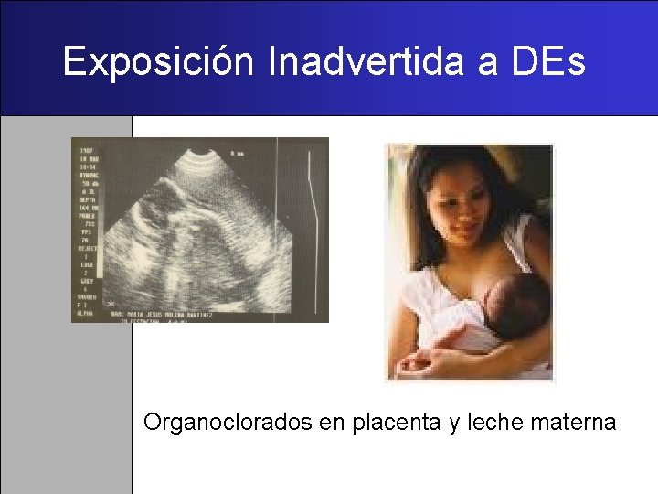 Exposición Inadvertida a DEs Organoclorados en placenta y leche materna 