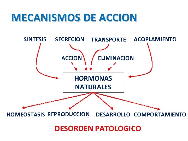 MECANISMOS DE ACCION SINTESIS SECRECION ACCION TRANSPORTE ACOPLAMIENTO ELIMINACION HORMONAS NATURALES HOMEOSTASIS REPRODUCCION DESARROLLO