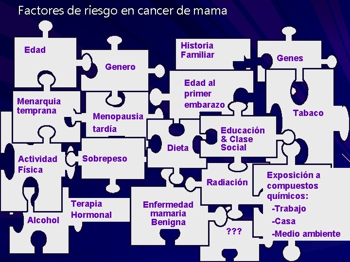 Factores de riesgo en cancer de mama Historia Familiar Edad Genes Genero Menarquia temprana