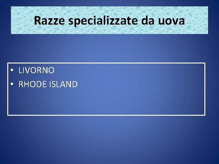 Razze specializzate da uova • LIVORNO • RHODE ISLAND 