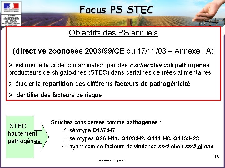 Focus PS STEC Objectifs des PS annuels (directive zoonoses 2003/99/CE du 17/11/03 – Annexe