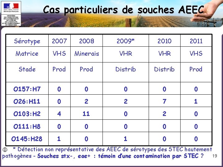 Cas particuliers de souches AEEC Sérotype 2007 2008 2009* 2010 2011 Matrice VHS Minerais