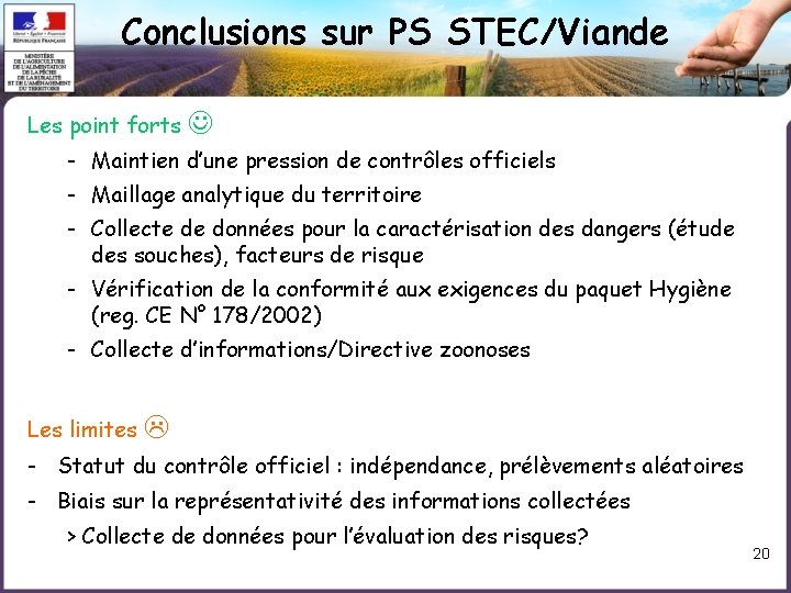 Conclusions sur PS STEC/Viande Les point forts - Maintien d’une pression de contrôles officiels