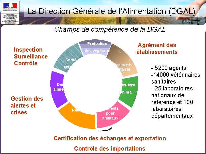 La Direction Générale de l’Alimentation (DGAL) Champs de compétence de la DGAL Protection Inspection