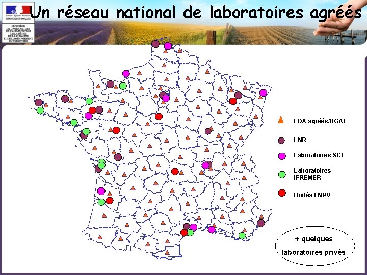 Un réseau national de laboratoires agréés LDA agréés/DGAL LNR Laboratoires SCL Laboratoires IFREMER Unités