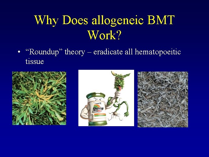Why Does allogeneic BMT Work? • “Roundup” theory – eradicate all hematopoeitic tissue 