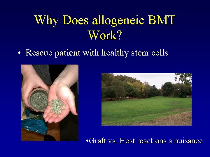 Why Does allogeneic BMT Work? • Rescue patient with healthy stem cells • Graft