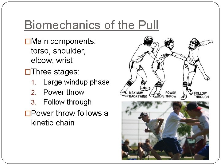 Biomechanics of the Pull �Main components: torso, shoulder, elbow, wrist �Three stages: Large windup