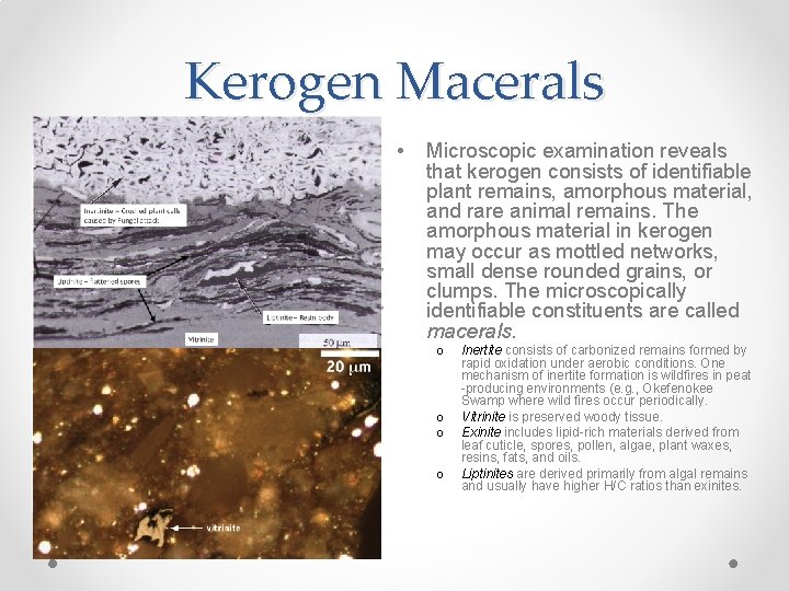 Kerogen Macerals I • II III Microscopic examination reveals that kerogen consists of identifiable