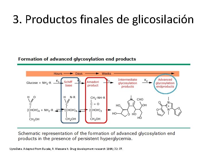 3. Productos finales de glicosilación Upto. Date. Adapted from Bucala, R. Vlassara h. Drug