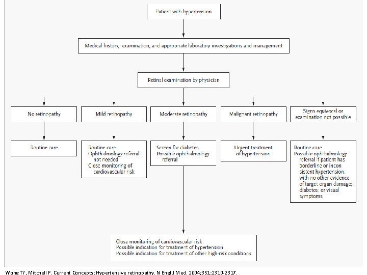 Wong TY, Mitchell P. Current Concepts: Hypertensive retinopathy. N Engl J Med. 2004; 351: