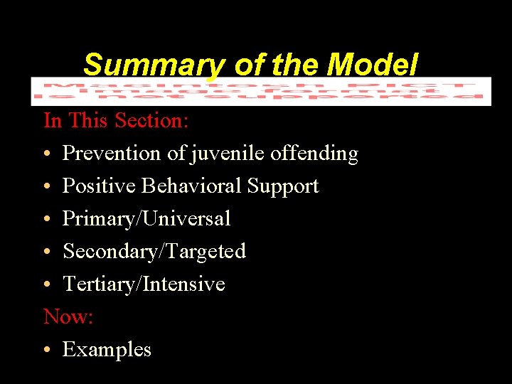 Summary of the Model In This Section: • Prevention of juvenile offending • Positive