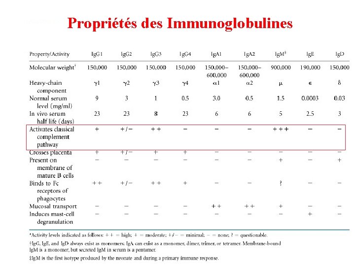 Propriétés des Immunoglobulines 