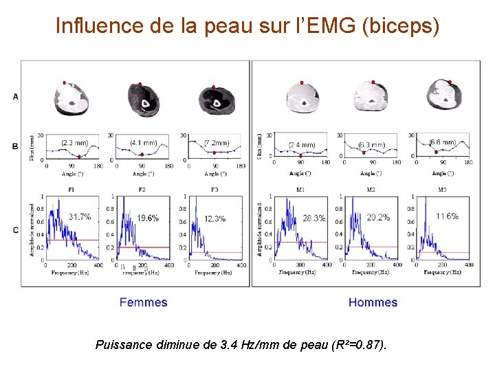 Influence de la peau sur l’EMG (biceps) Puissance diminue de 3. 4 Hz/mm de