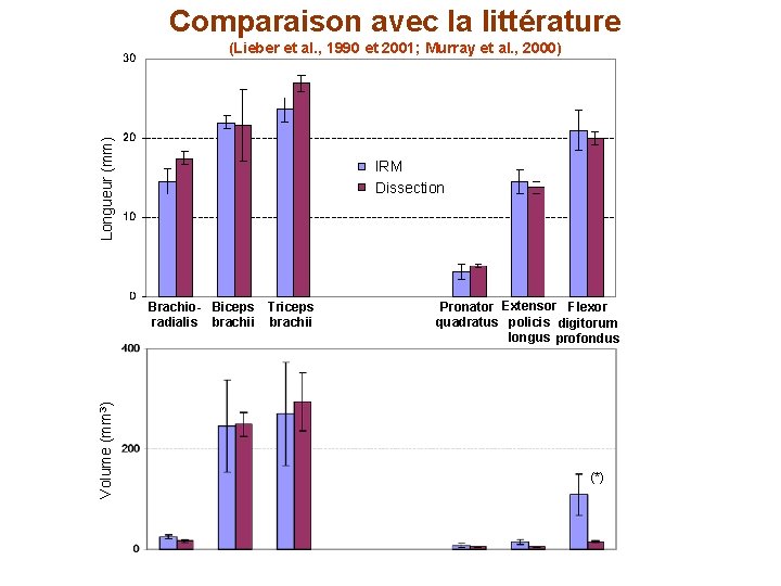 Comparaison avec la littérature Longueur (mm) (Lieber et al. , 1990 et 2001; Murray