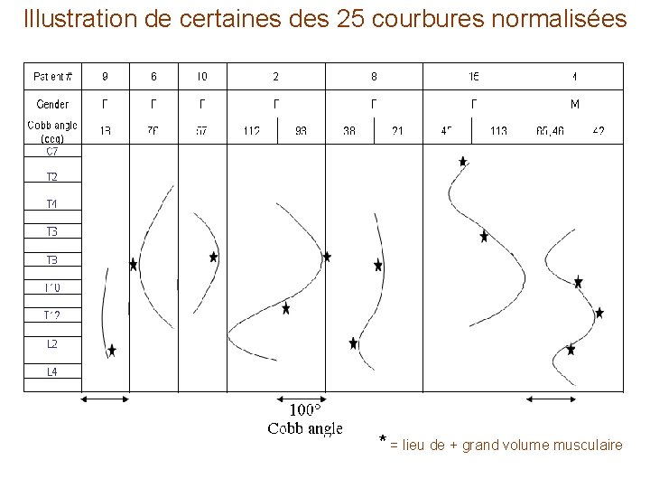 Illustration de certaines des 25 courbures normalisées * = lieu de + grand volume