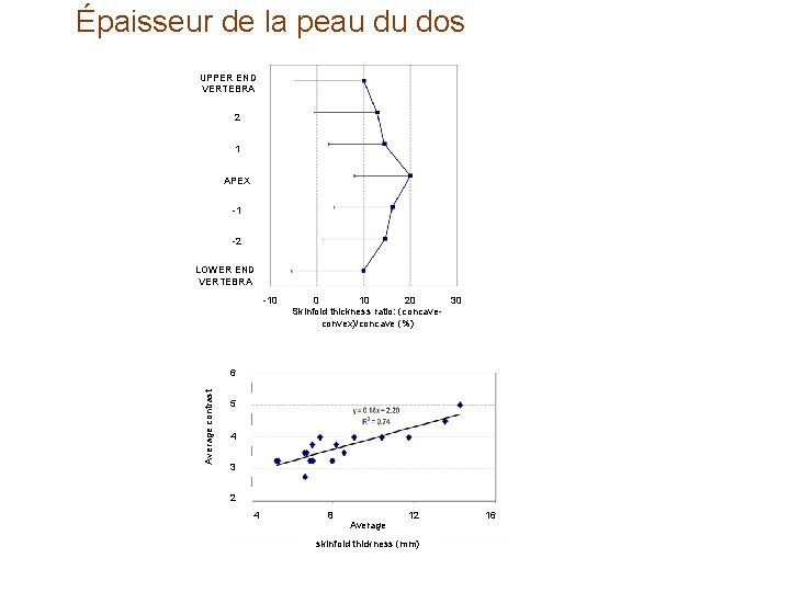 Épaisseur de la peau du dos UPPER END VERTEBRA 2 1 APEX -1 -2