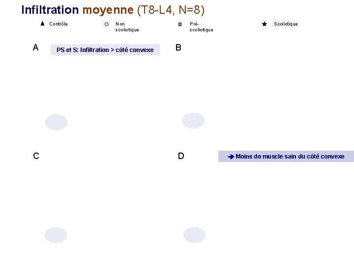 Infiltration moyenne (T 8 -L 4, N=8) Contrôle A C Non scoliotique PS et