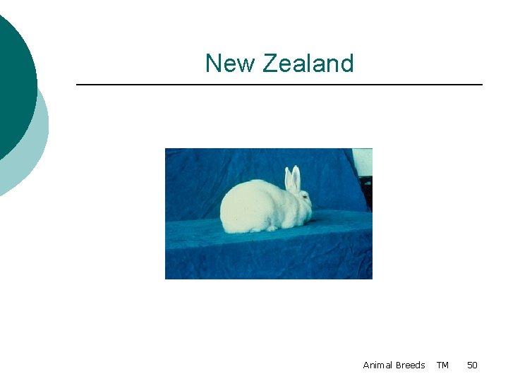 New Zealand Animal Breeds TM 50 