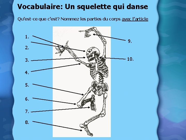 Vocabulaire: Un squelette qui danse Qu’est-ce que c’est? Nommez les parties du corps avec