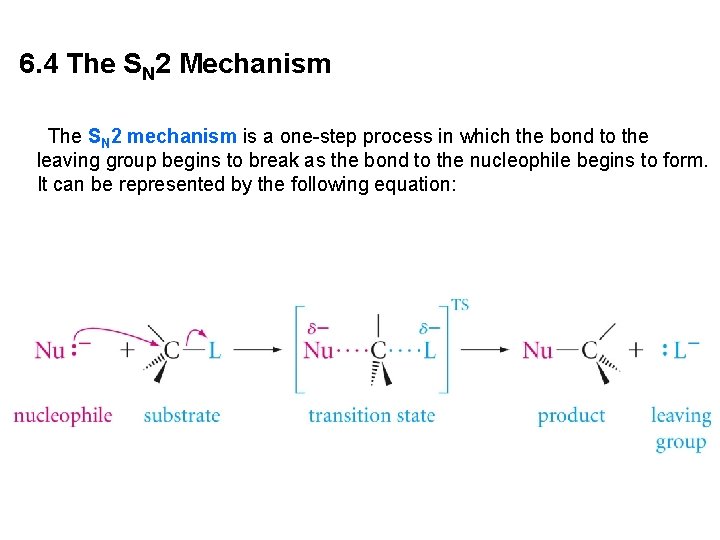 6. 4 The SN 2 Mechanism The SN 2 mechanism is a one-step process