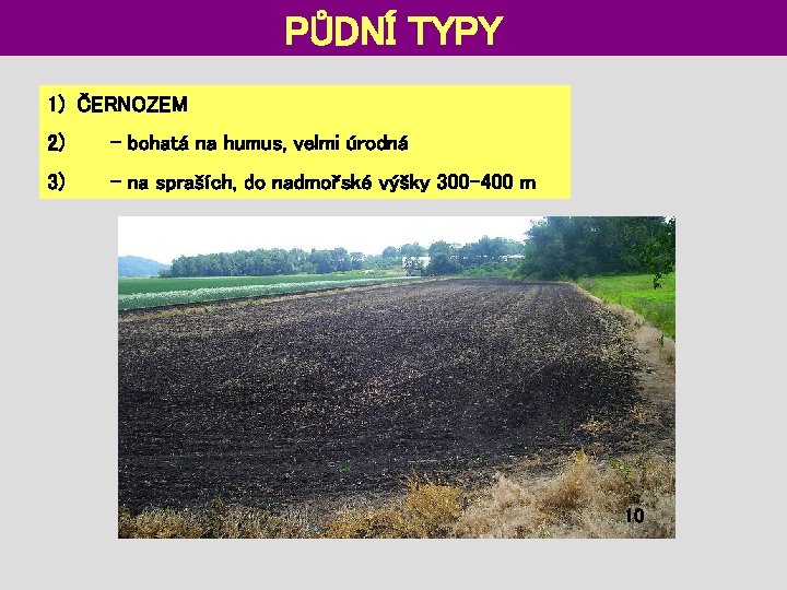 PŮDNÍ TYPY 1) ČERNOZEM 2) - bohatá na humus, velmi úrodná 3) - na