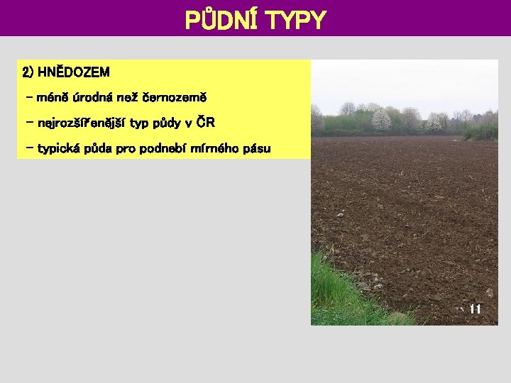 PŮDNÍ TYPY 2) HNĚDOZEM - méně úrodná než černozemě - nejrozšířenější typ půdy v