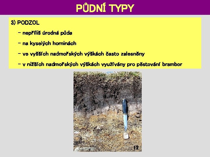 PŮDNÍ TYPY 3) PODZOL - nepříliš úrodná půda - na kyselých horninách - ve