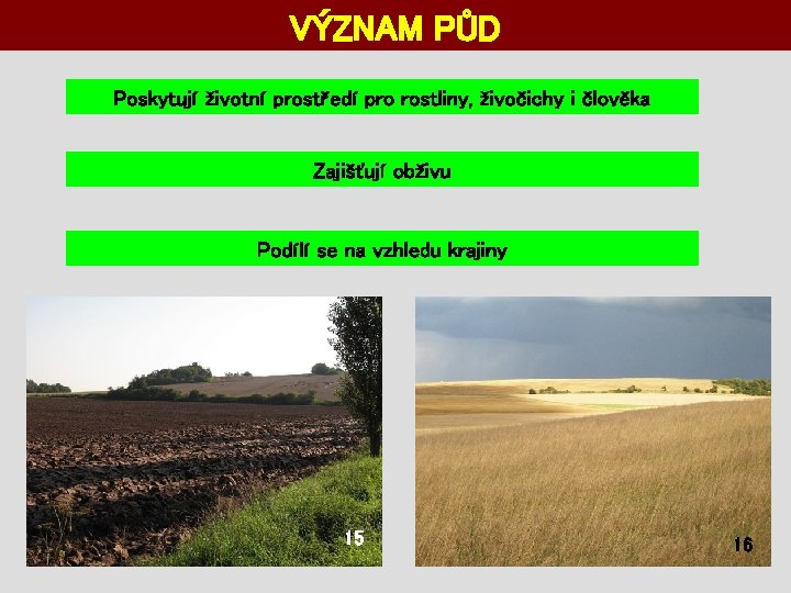 VÝZNAM PŮD Poskytují životní prostředí pro rostliny, živočichy i člověka Zajišťují obživu Podílí se